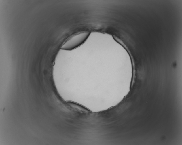 X0000115810961200912241911