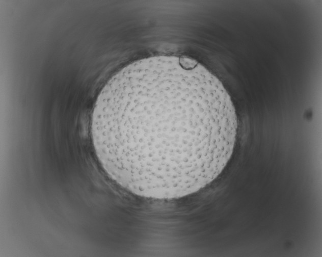 X0000115810962200912241911