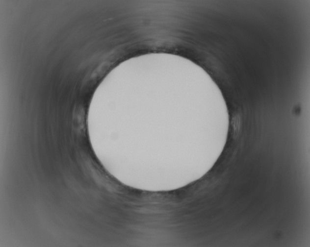X0000115810963200912241911