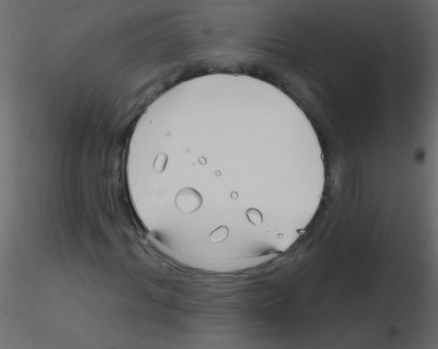 X0000115810964200912241911