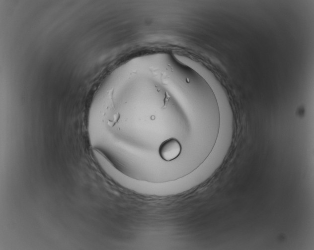 X0000115810965200912241911