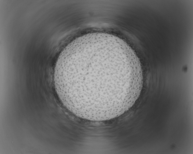 X0000115810966200912241911