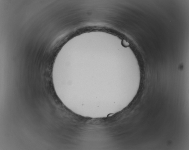 X0000115810967200912241911
