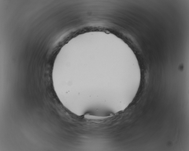 X0000115810968200912241911