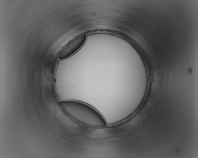 X0000115810969200912241911