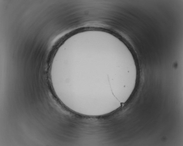 X0000115810971200912241910