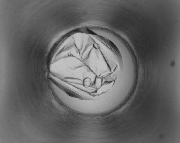 X0000115810973200912241910
