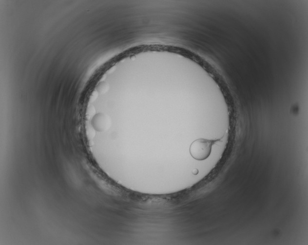 X0000115810974200912241910