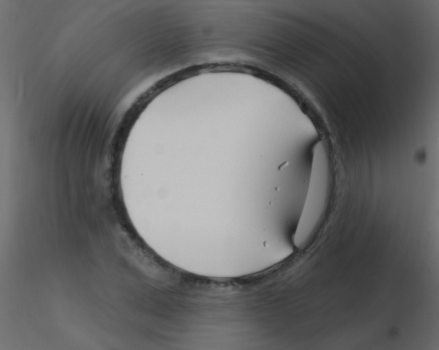 X0000115810975200912241910