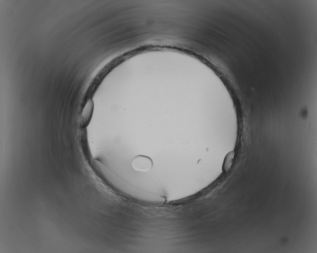 X0000115810976200912241910