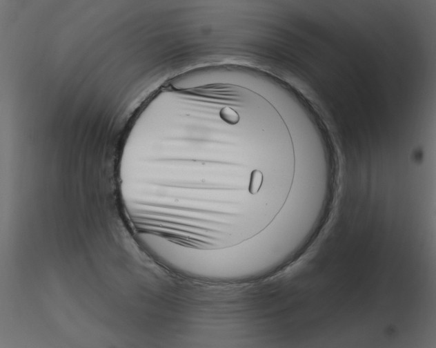 X0000115810977200912241910