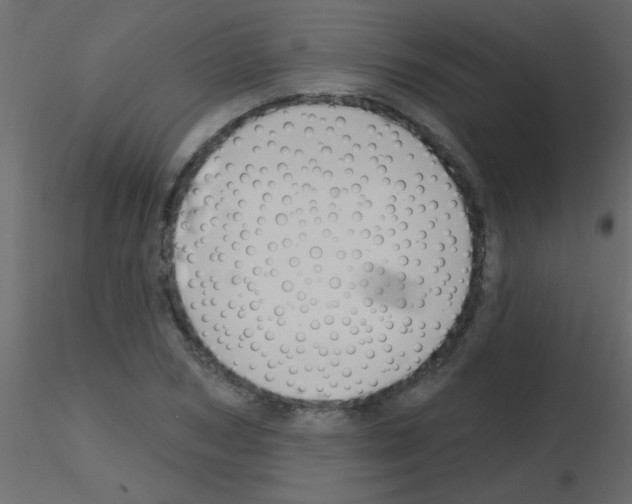 X0000115810978200912241910