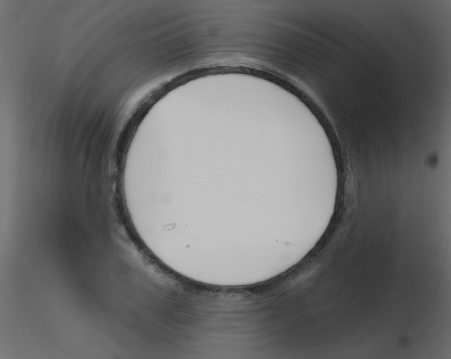 X0000115810979200912241910