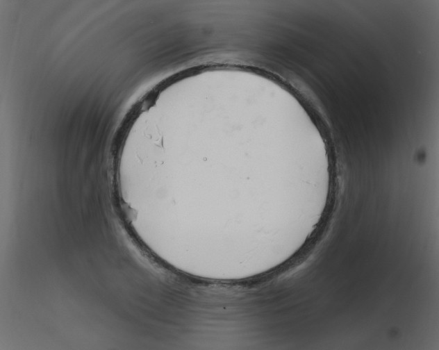 X0000115810981200912241910