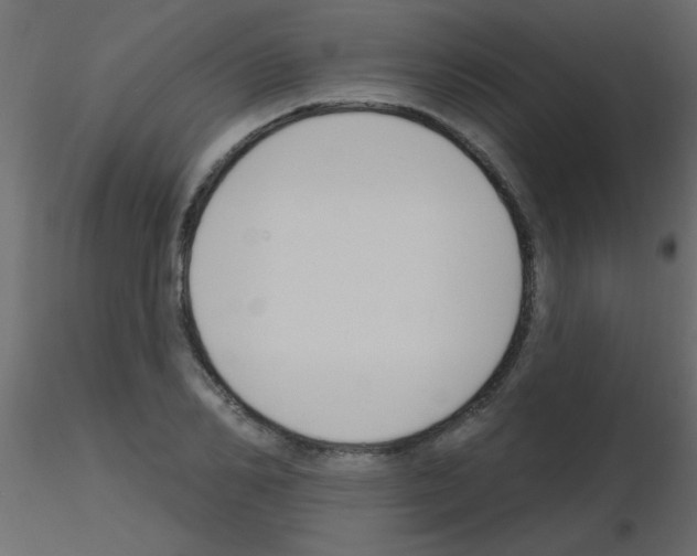 X0000115810982200912241910
