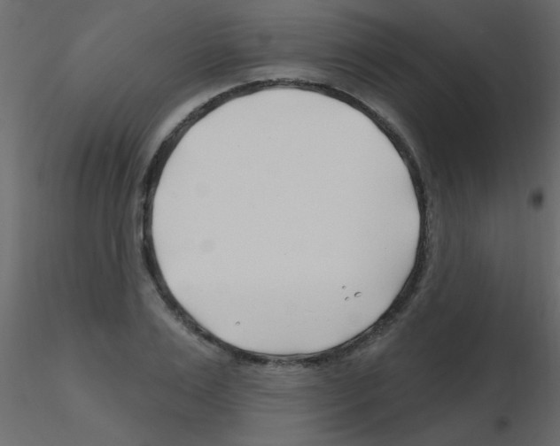X0000115810983200912241910