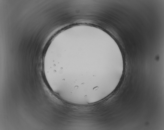 X0000115810984200912241910