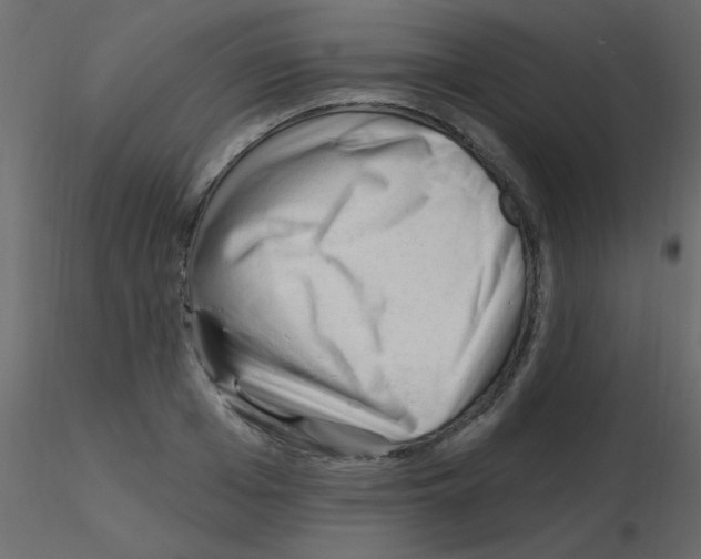 X0000115810985200912241910