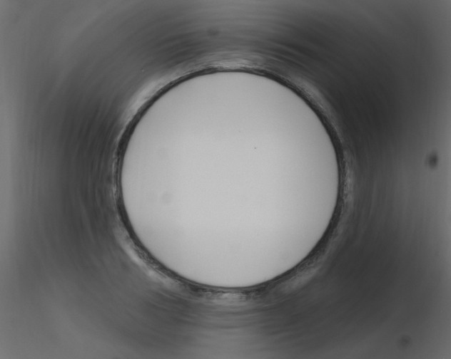 X0000115810986200912241910