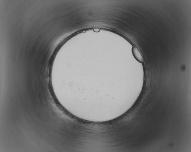X0000115810987200912241910