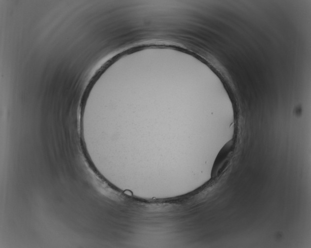 X0000115810988200912241910