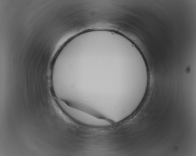 X0000115810990200912241910