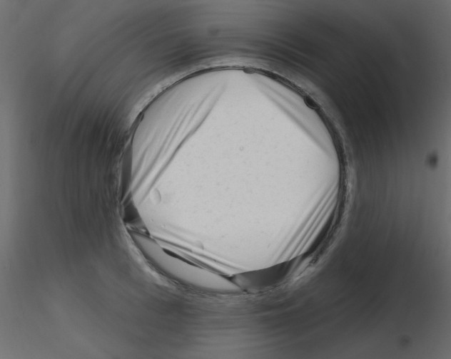 X0000115810993200912241910