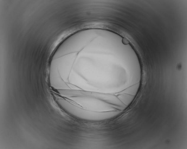 X0000115810994200912241910