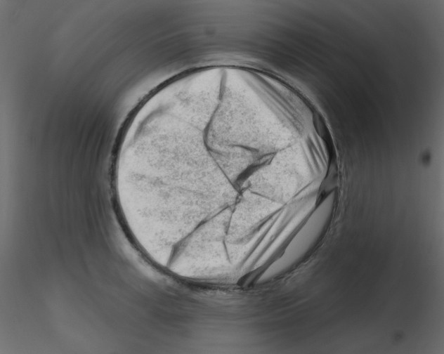X0000115810995200912241910