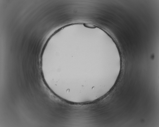 X0000115810996200912241910
