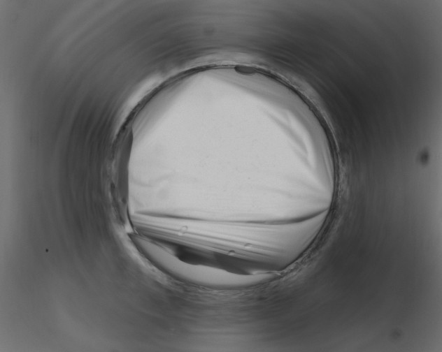 X0000115810997200912241910