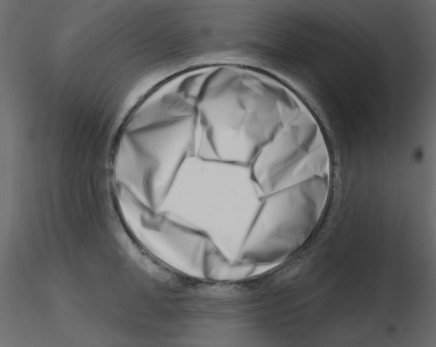 X0000115810998200912241910