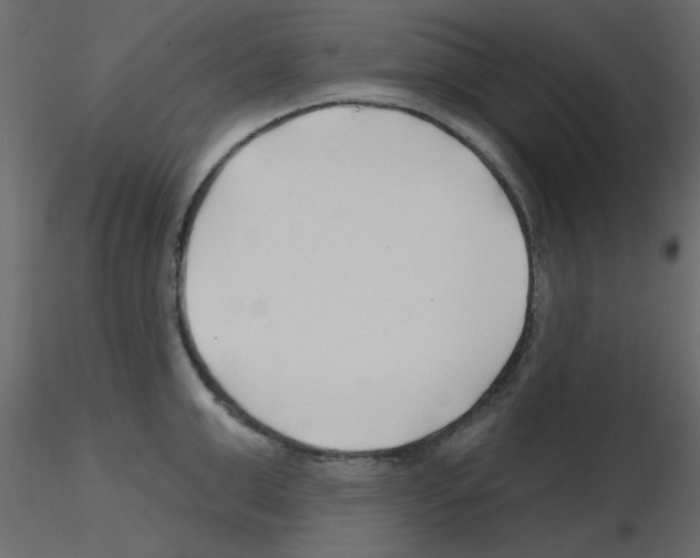 X0000115810999200912241910