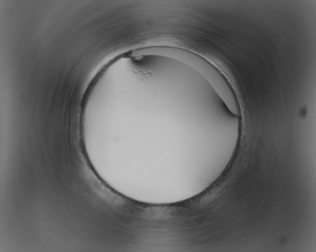 X0000115811000200912241910
