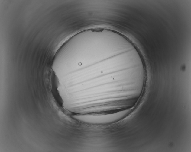 X0000115811001200912241910