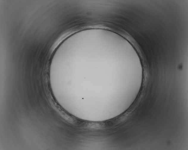 X0000115811002200912241910