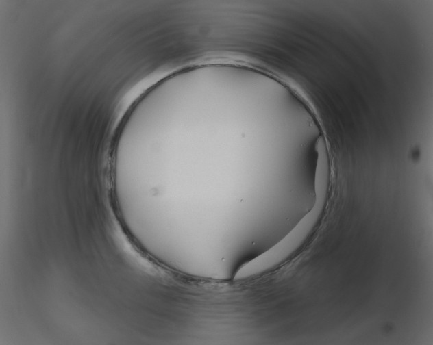 X0000115811003200912241910