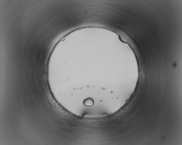 X0000115811004200912241910