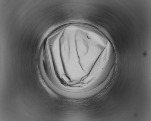 X0000115811005200912241910