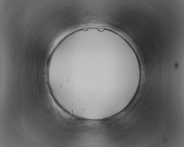 X0000115811006200912241910