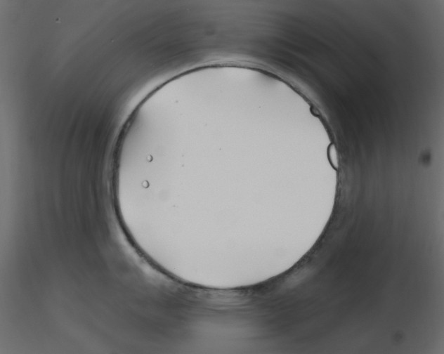 X0000115811007200912241910