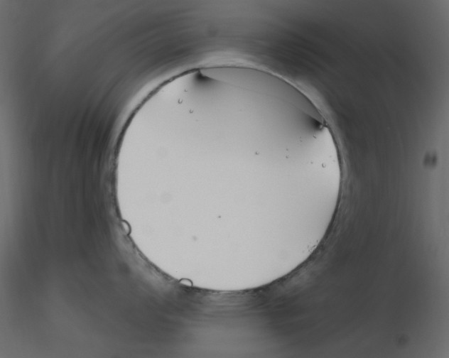 X0000115811008200912241910