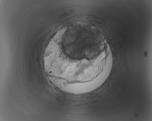 X0000115811009200912241909