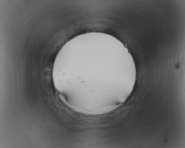 X0000115811010200912241909