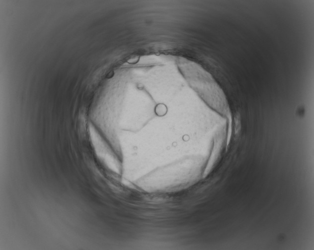 X0000115811011200912241909