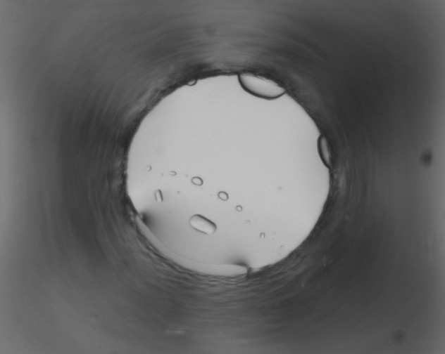 X0000115811012200912241909