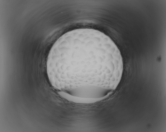 X0000115811014200912241909