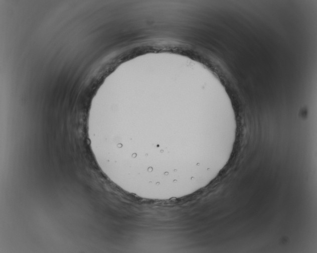 X0000115811016200912241909