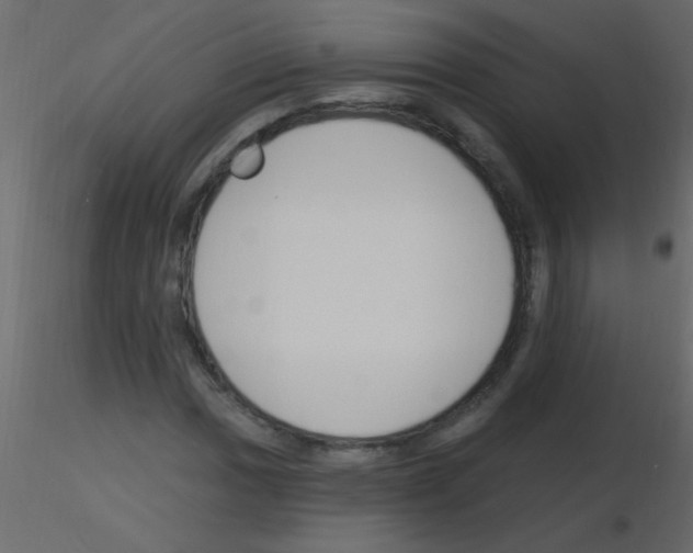 X0000115811017200912241909