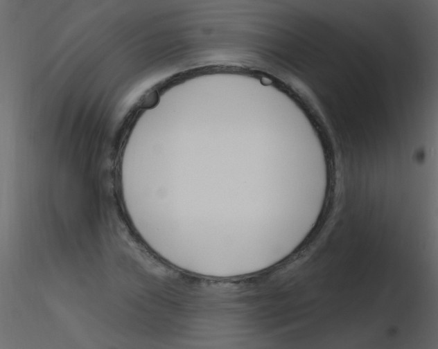X0000115811019200912241909